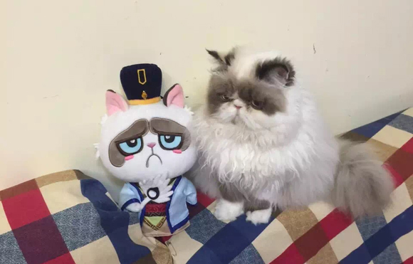 收入证明_影视后期制作 收入
