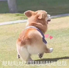 我就有了《推理学院》99%的人还没拥有的成就